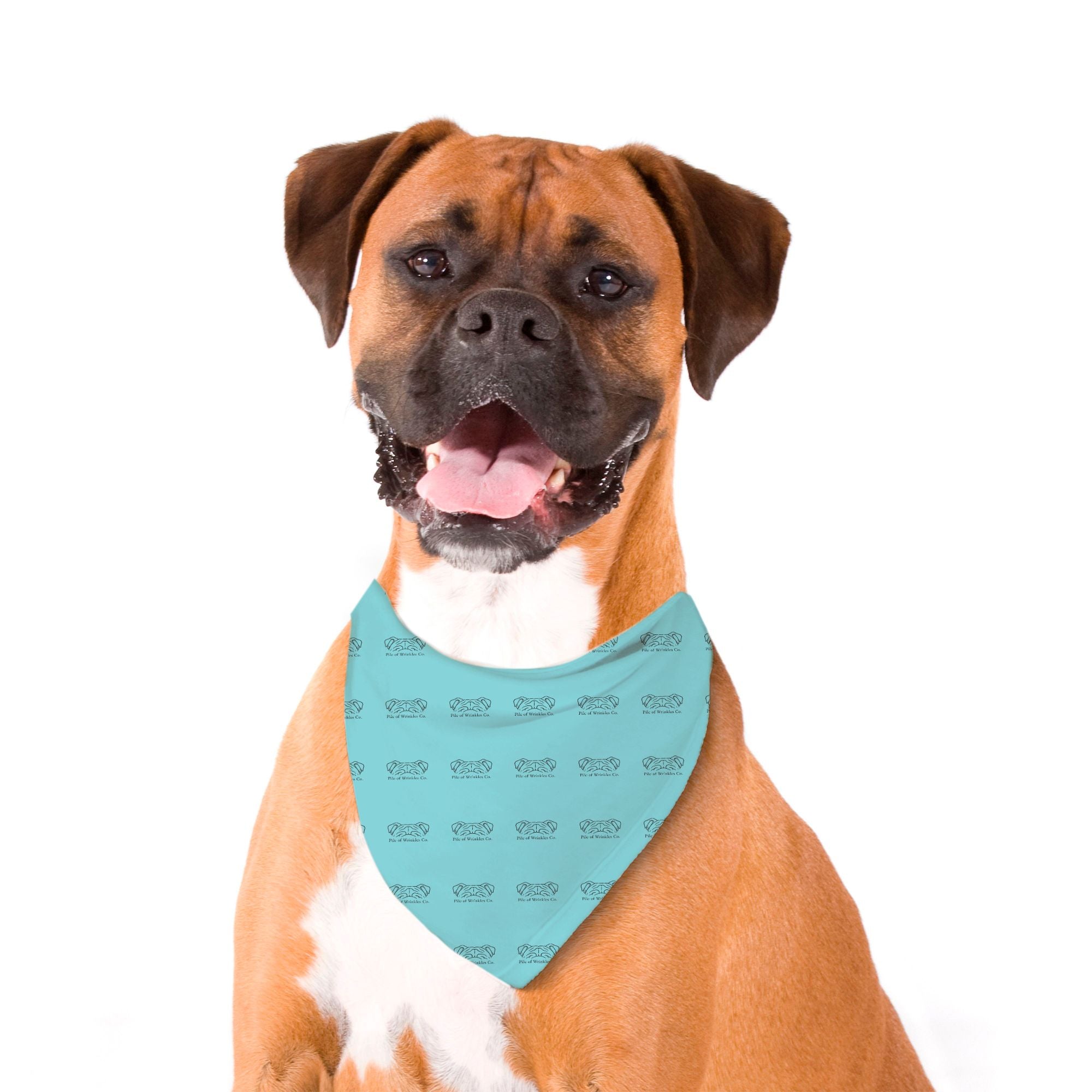 Pet Bandana
